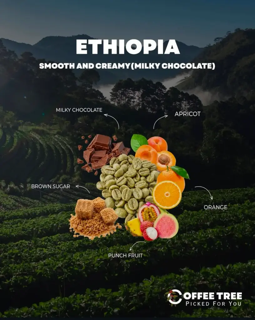 (Ethiopia - Sidamo Shantawenie (60kg