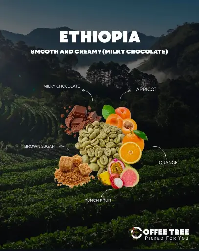[100] (Ethiopia - Sidamo Shantawenie (60kg