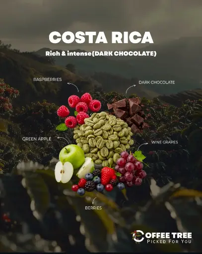 [300] 69KG)COSTARICA - LA PITINA CATURRA) NATURAL