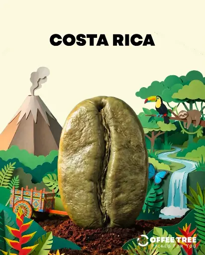 [301] 69KG)COSTARICA - LA PITINA Villa Sarchi) NATURAL